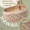 Jumbo Kokosnuss Schale HAWAII inkl. Kokosholzlöffel und Untersetzer aus Kokosfasern – Bild 3