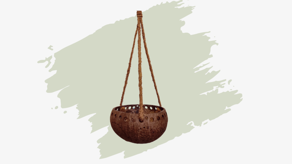 10 Grüne Hängekörbe / Anzuchttöpfe 20,3 Cm – Mit 3 Ablauflöchern, 18,4 Cm Oben, 14 Cm Tief